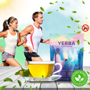 Matcha Mate Lift Tea