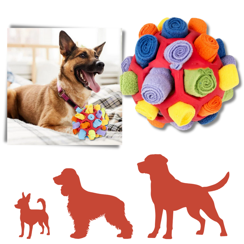 Mental Stimulator Snuffle Ball