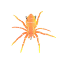 Natural Movement Spider Lures