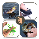 Natural Movement Spider Lures