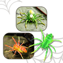 Natural Movement Spider Lures
