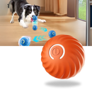 Obstacle Avoidance Dog Ball