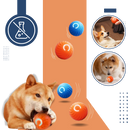 Obstacle Avoidance Dog Ball