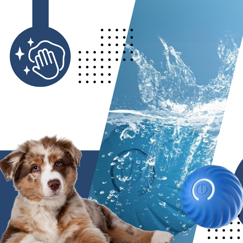 Obstacle Avoidance Dog Ball