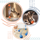 Obstacle Avoidance Dog Ball