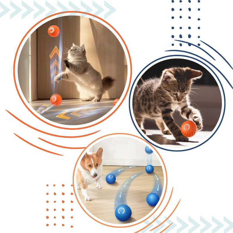Obstacle Avoidance Dog Ball