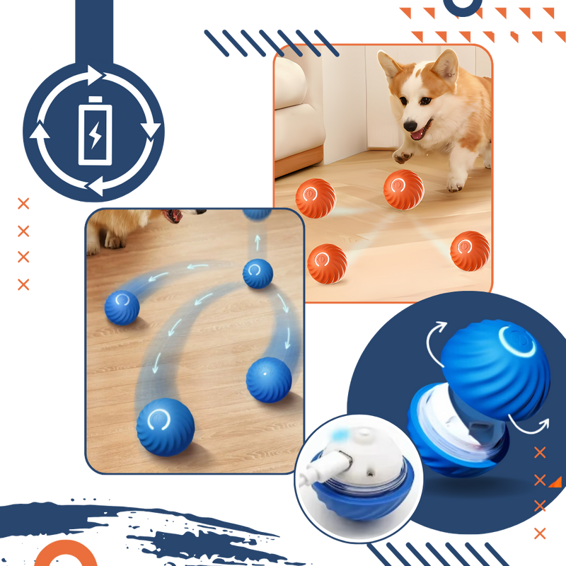 Obstacle Avoidance Dog Ball