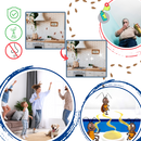 Odorless Cockroach Traps