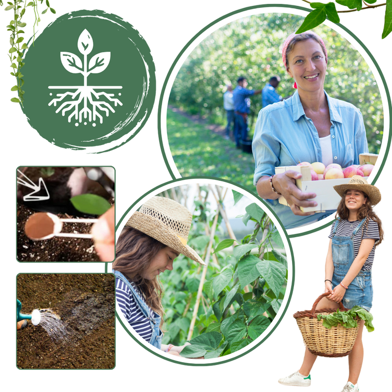 Organic Nutrients Soil Activator