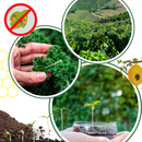 Organic Nutrients Soil Activator