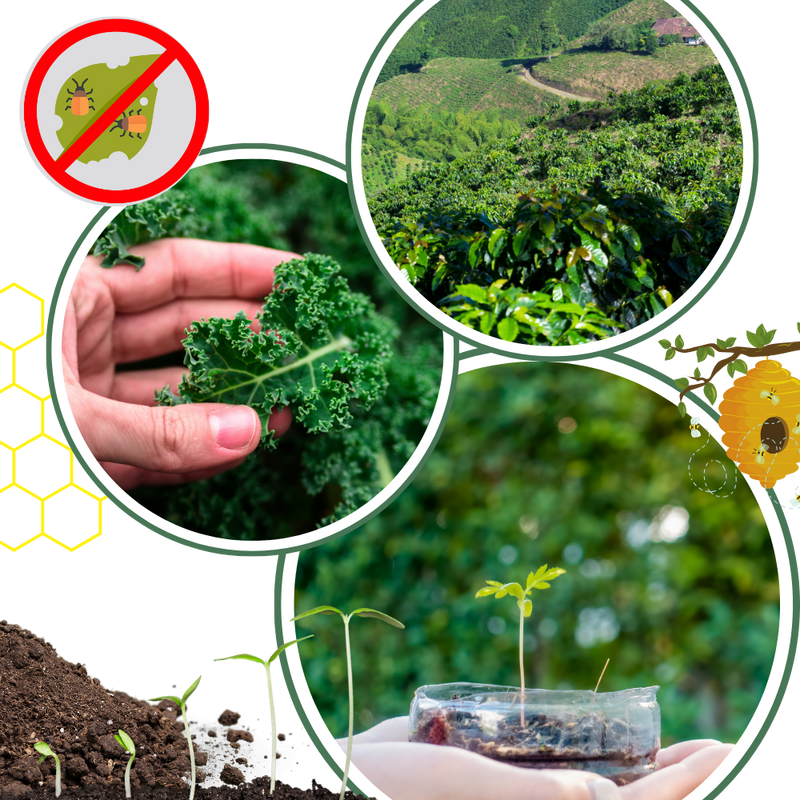 Organic Nutrients Soil Activator
