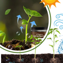 Organic Nutrients Soil Activator