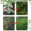 Organic Nutrients Soil Activator