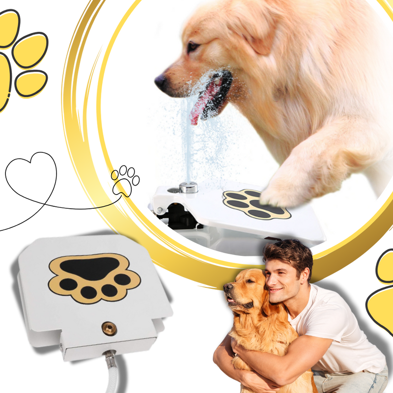 Paw Activated Dog Water Fountain