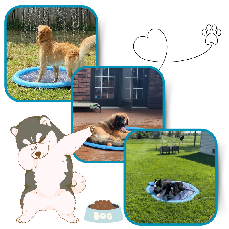 Portable Dog Splash Pad