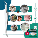 Precision Tick Extractor