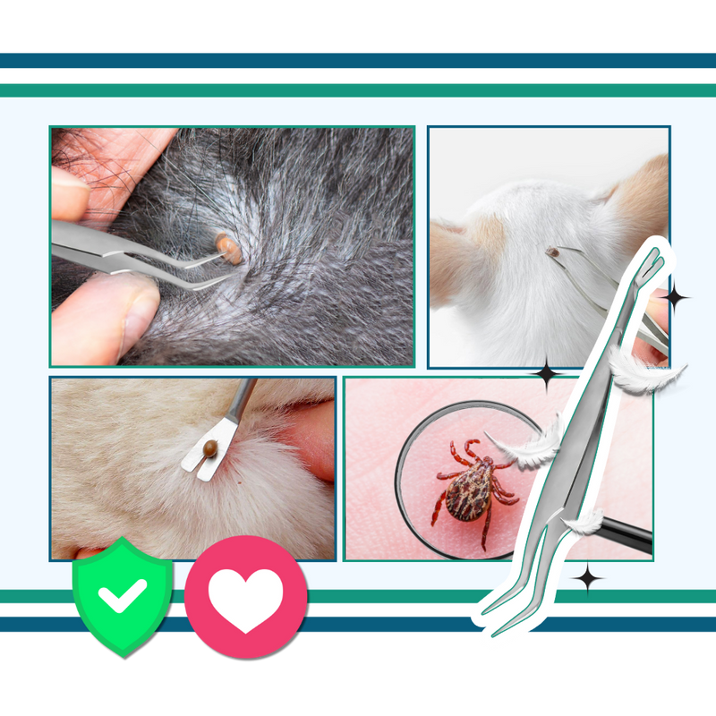Precision Tick Extractor