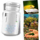 Preventive Aquarium Algaecide