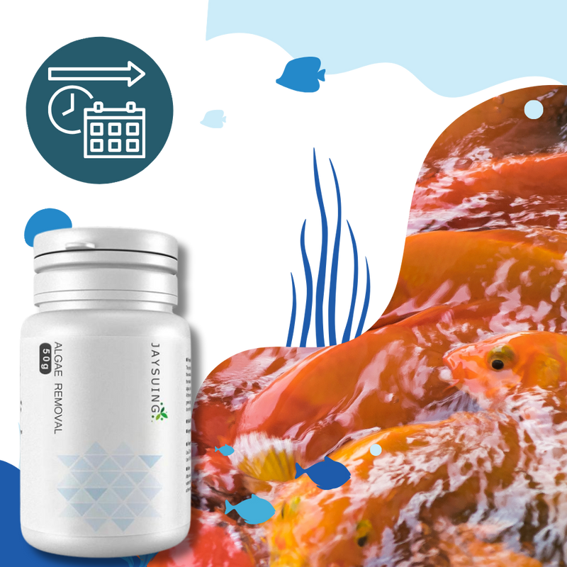 Preventive Aquarium Algaecide