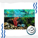 Preventive Aquarium Algaecide