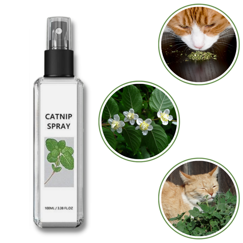 Pure Natural Silvervine For Cats