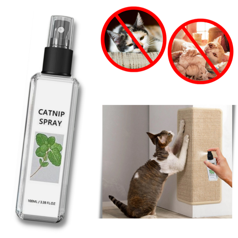 Pure Natural Silvervine For Cats