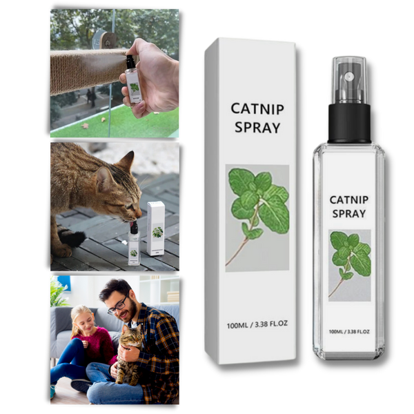 Pure Natural Silvervine For Cats
