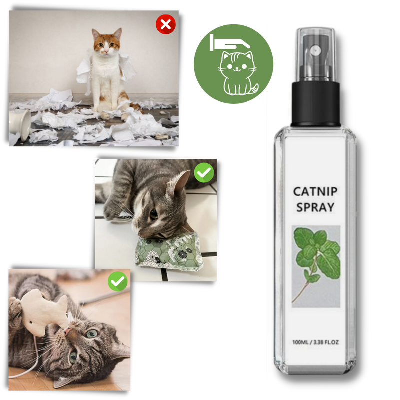 Pure Natural Silvervine For Cats