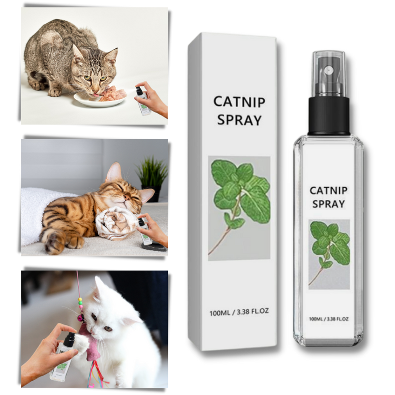 Pure Natural Silvervine For Cats