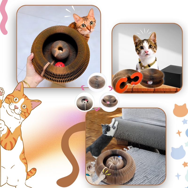 Purrfect Stress-Relieving Cat Scratcher
