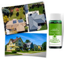 Revitalizing Lawn Grass Spray