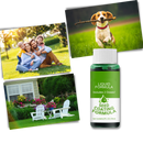 Revitalizing Lawn Grass Spray