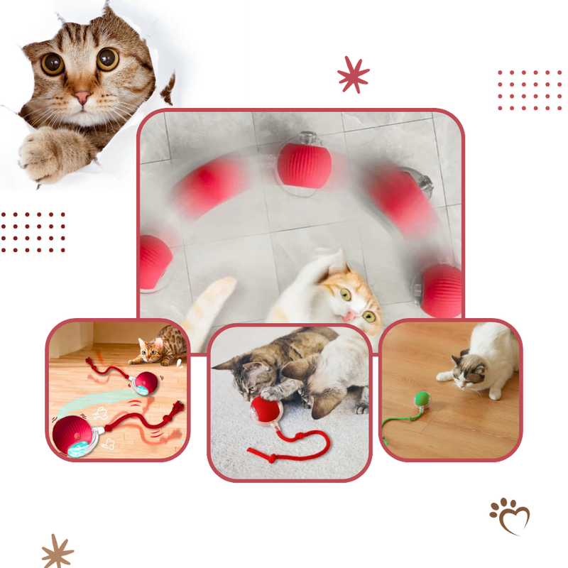 Smart Interactive Cats Ball Toy