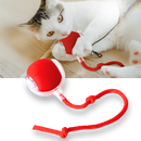 Smart Interactive Cats Ball Toy