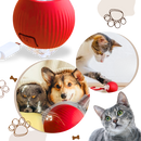 Smart Interactive Cats Ball Toy