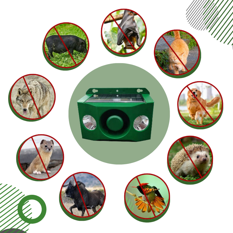 Solar Motion-Activated Animal Repellent