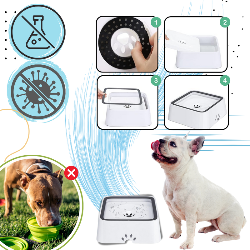 Splash-Free Water Bowl For Dogs
