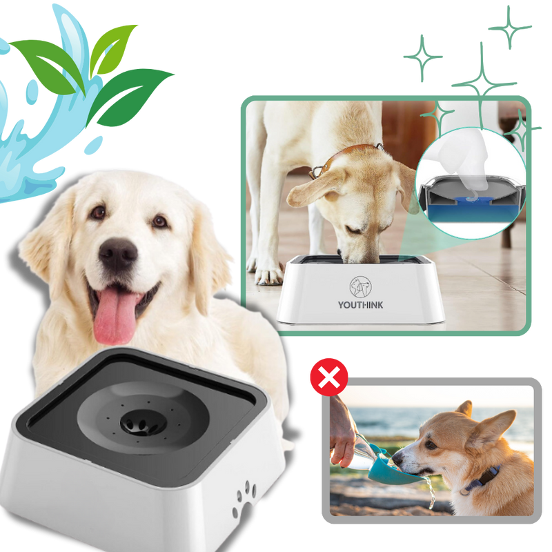 Splash-Free Water Bowl For Dogs