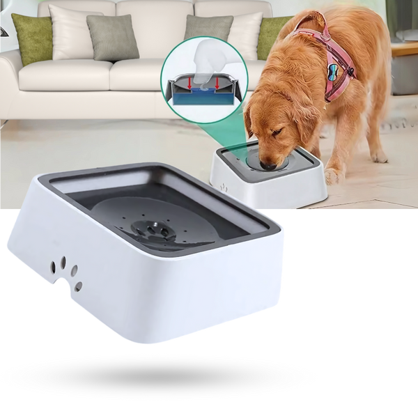 Splash-Free Water Bowl For Dogs