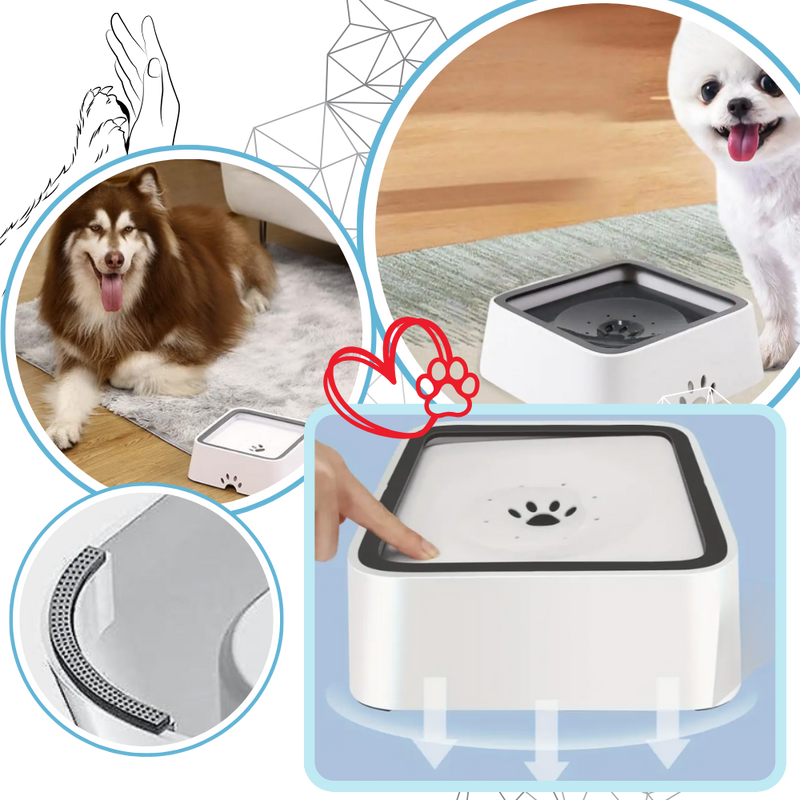 Splash-Free Water Bowl For Dogs