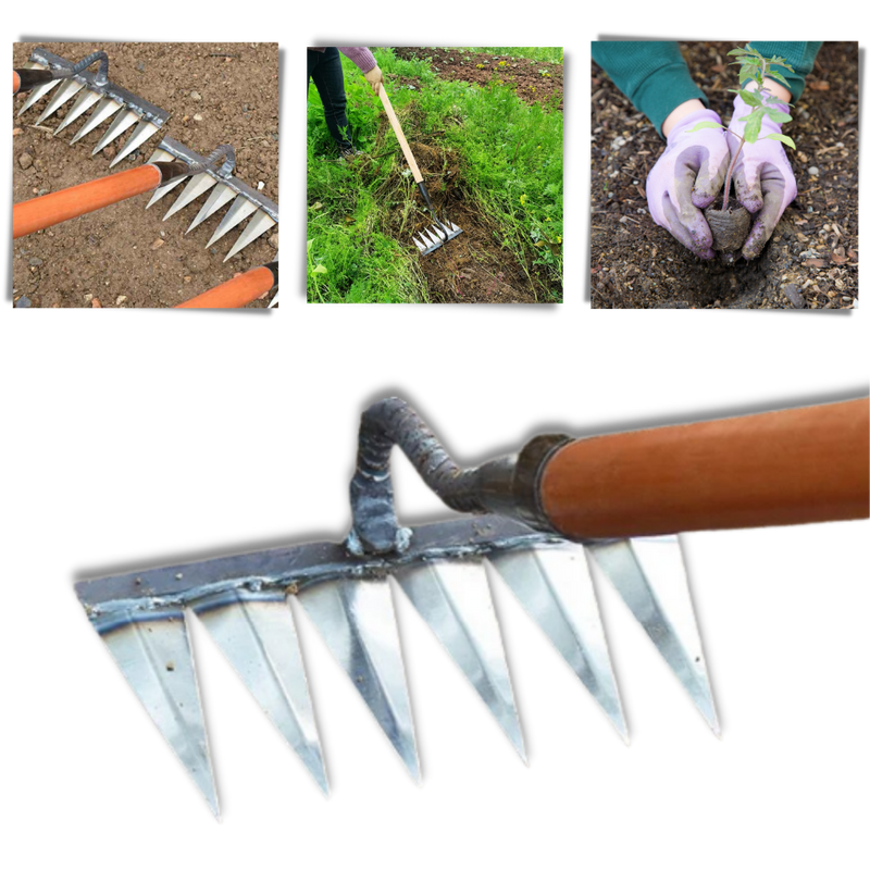Time-Saving Lawn Scarifier