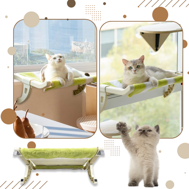 Tool-Free Cat Bed & Window Perch