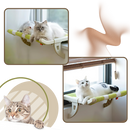 Tool-Free Cat Bed & Window Perch