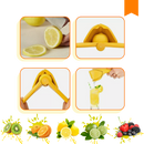 Versatile Manual Citrus Juicer