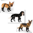 Waterproof Dog  Suspenders Boots