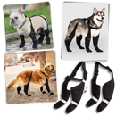 Waterproof Dog  Suspenders Boots